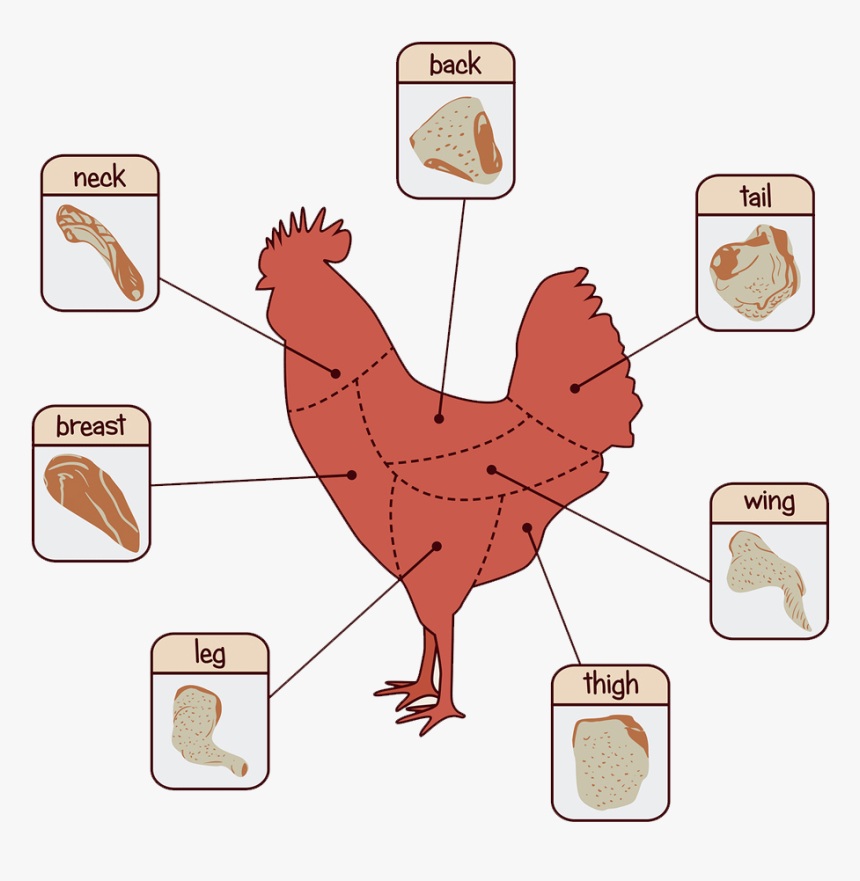 Cuts Of Chicken Price, HD Png Download