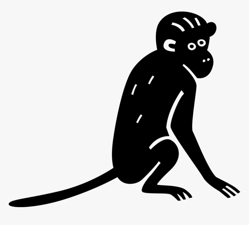 Vector Illustration Of Primate Monkey Ape - 猴子 香蕉, HD Png Download
