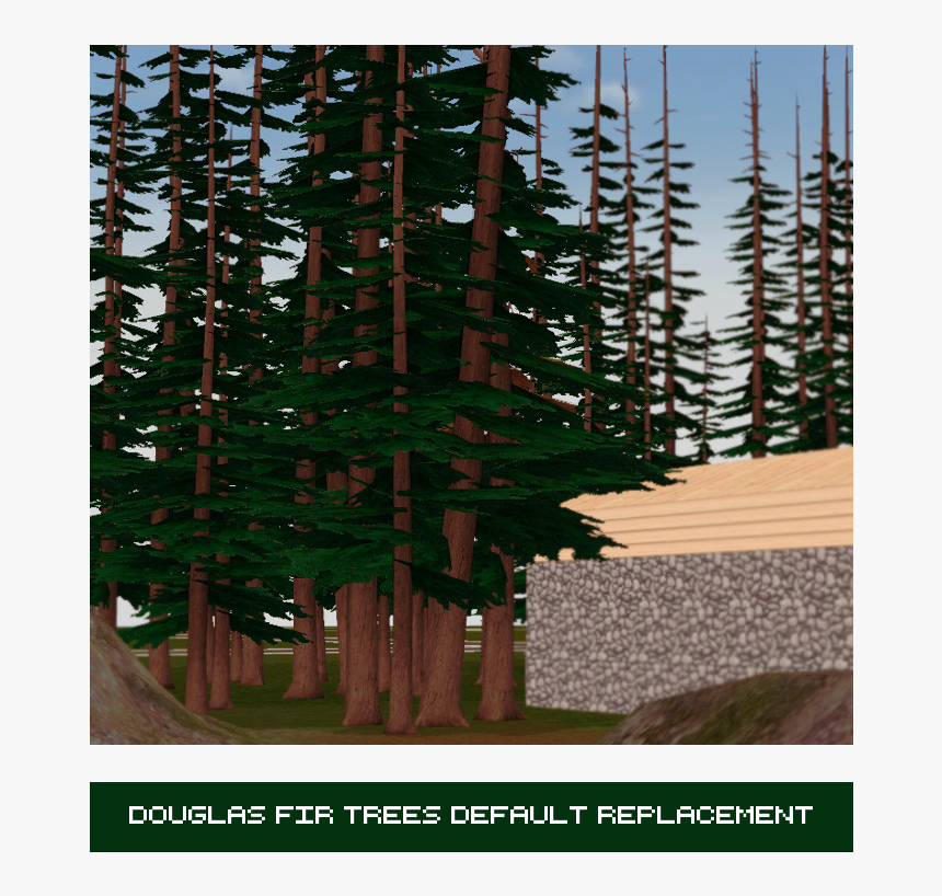 Colorado Spruce, HD Png Download