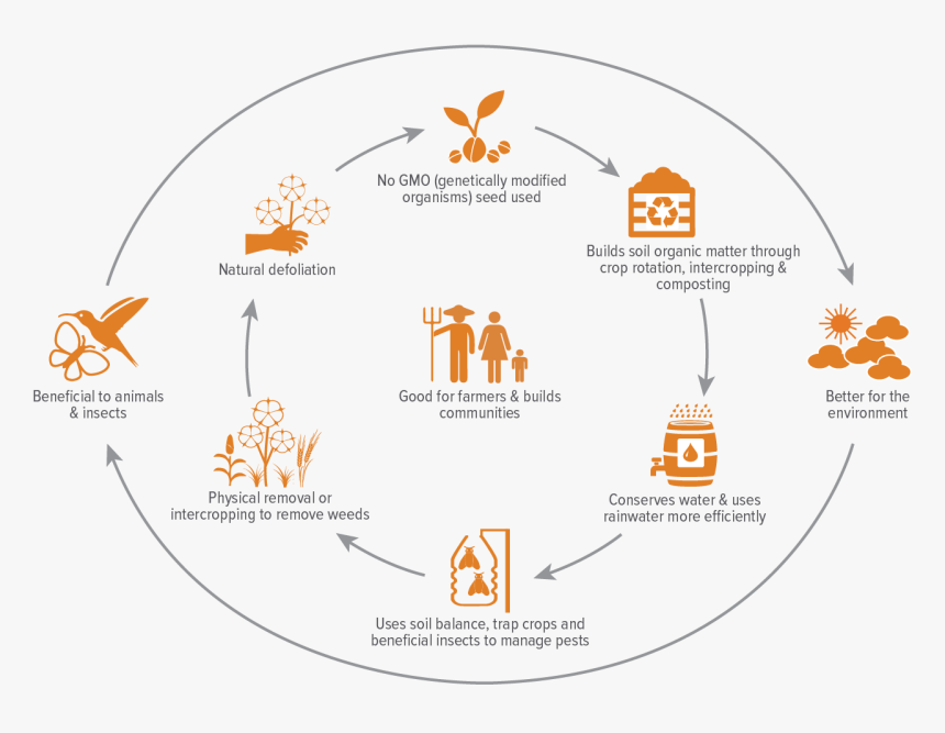 Cotton Good For The Environment, HD Png Download