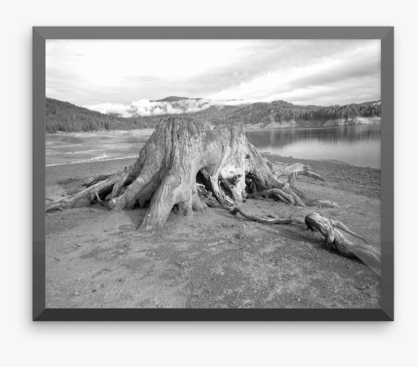 Mountain Trees Mockup Wall Horizontal, HD Png Download