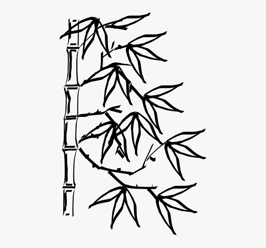 Bamboo Clipart Black And White, HD Png Download