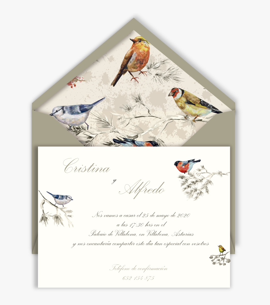 Inv Pajaritos Sb Arena - Bird Painting On Wall, HD Png Download