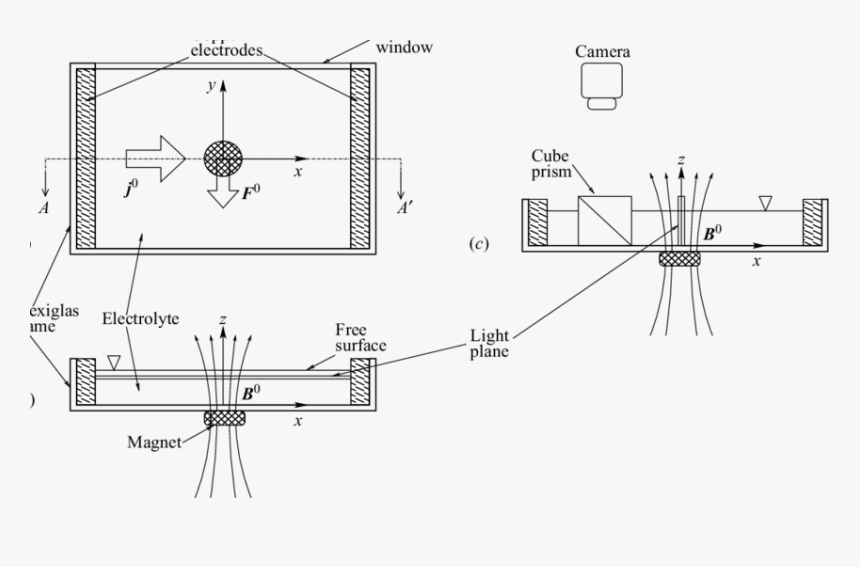 Drawn To Scale, HD Png Download