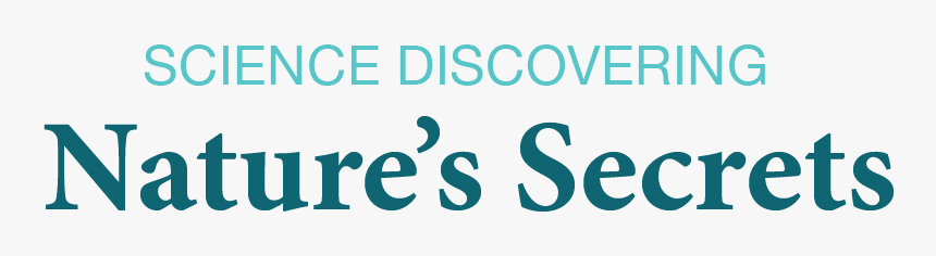Orcieres, HD Png Download