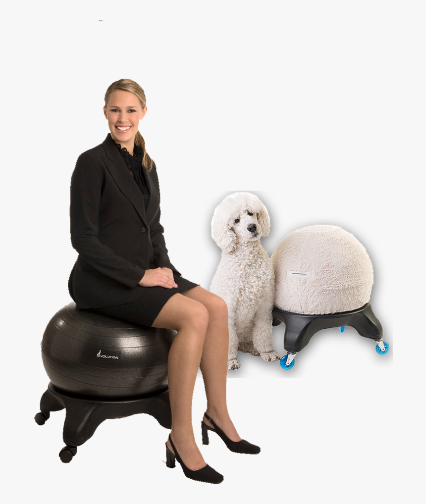 Best Chair For Back Pain - Sitting, HD Png Download