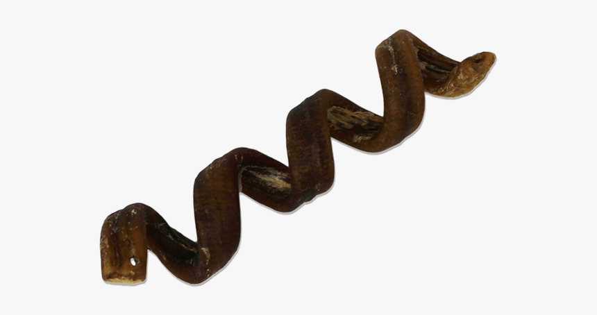 Water Buffalo Bully Spiral 6-7 
 Class, HD Png Download