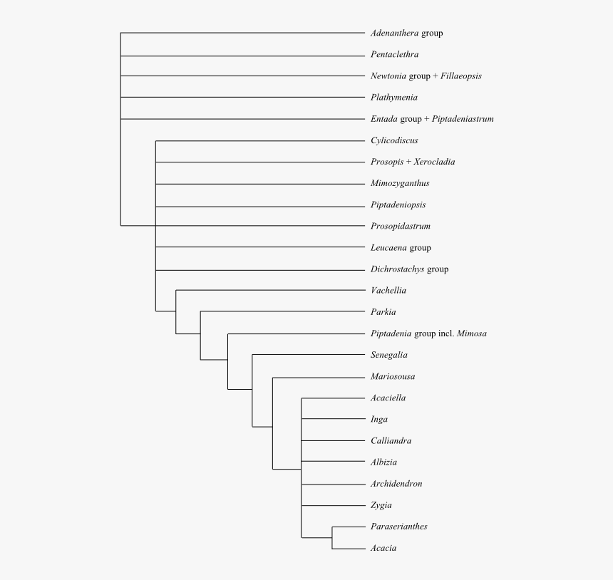 Document, HD Png Download