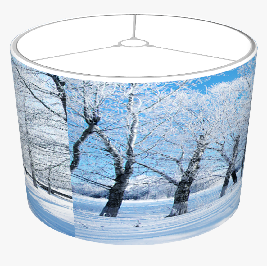 Winter Snows Scene - Birch, HD Png Download