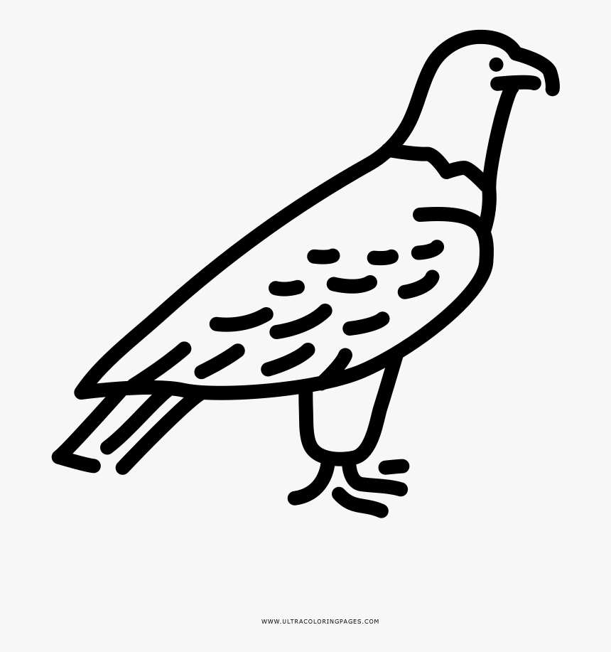 Aguila Dibujos Para Colorear, HD Png Download