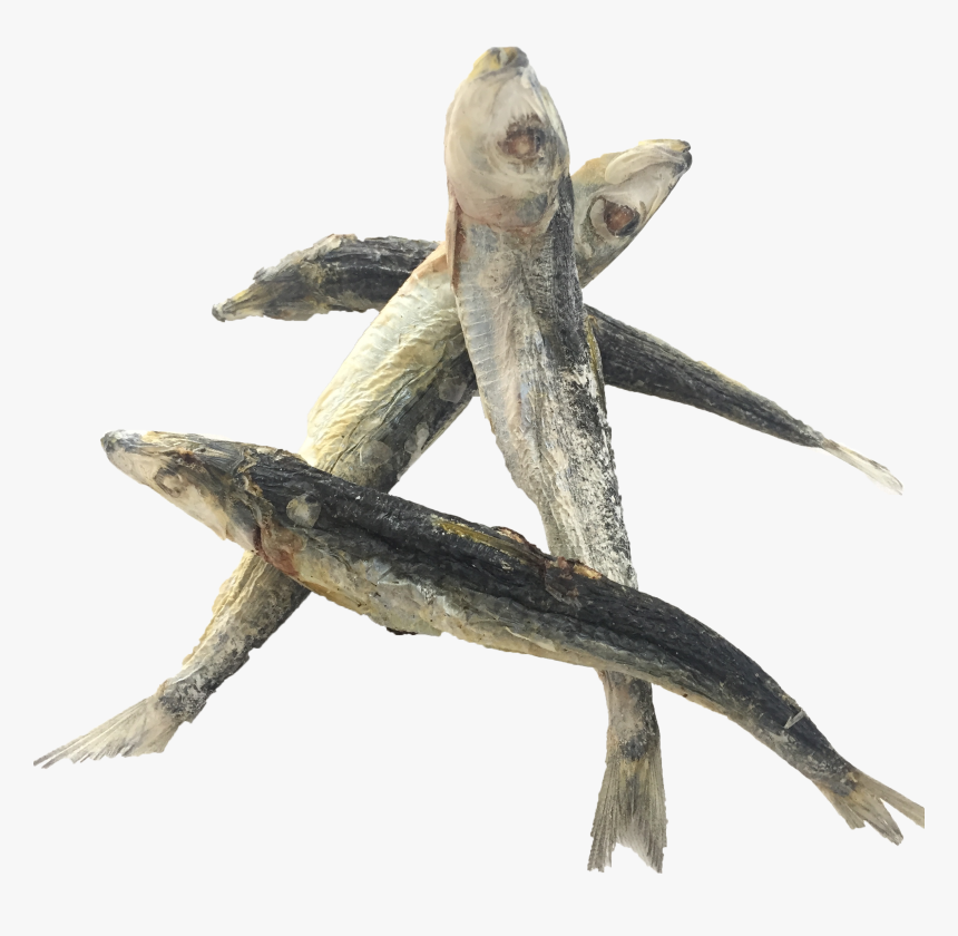 Frozen Dried Sardine, HD Png Download