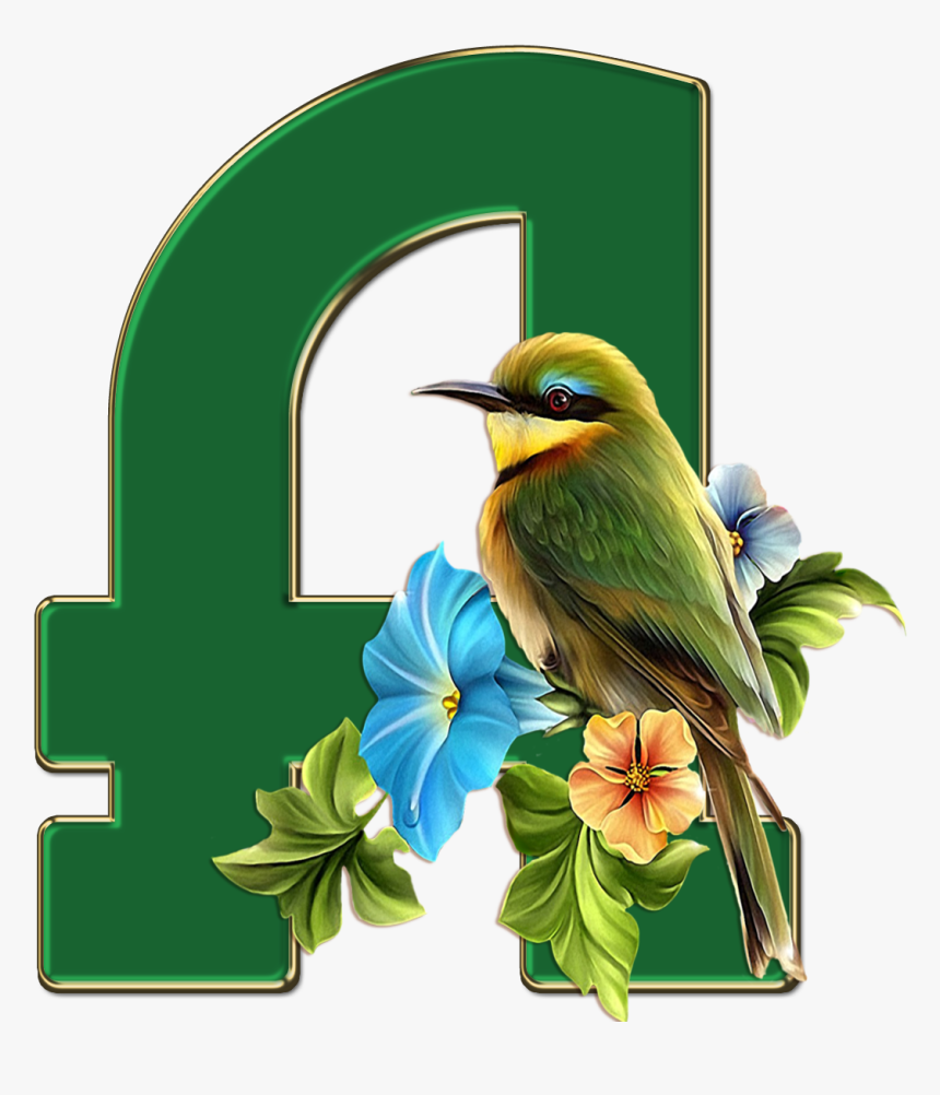 Alfabeto Passaros, HD Png Download