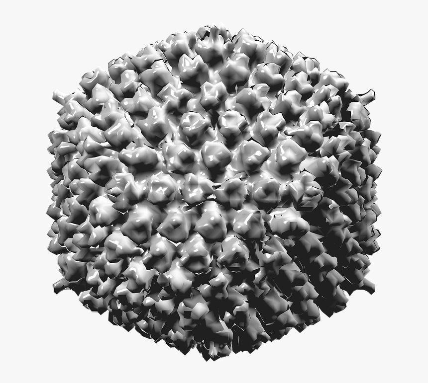 Adenovirus Type 5, HD Png Download