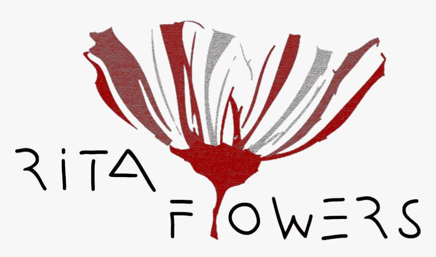 Coronas De Flores Png, Transparent Png