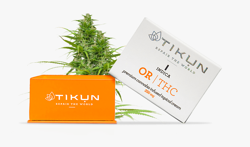 Marijuana Plant, HD Png Download