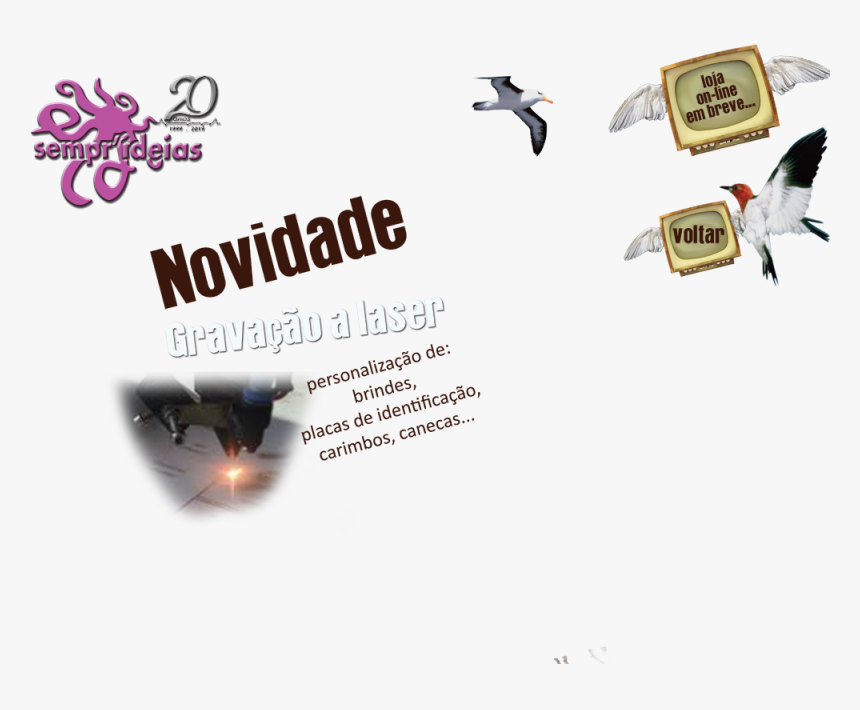 Novidades - Albatro Urlatore, HD Png Download