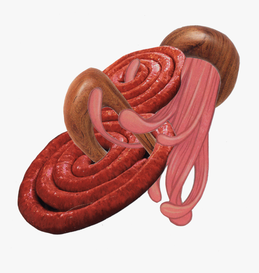 Soc Mini 4 No - Chistorra, HD Png Download