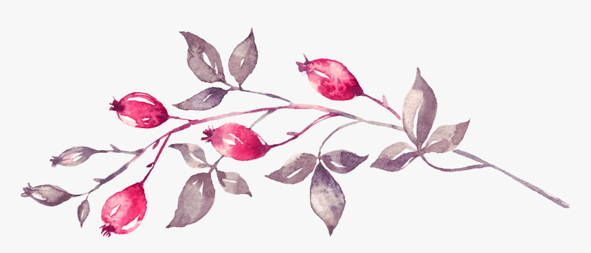 Watercolor Painting, HD Png Download