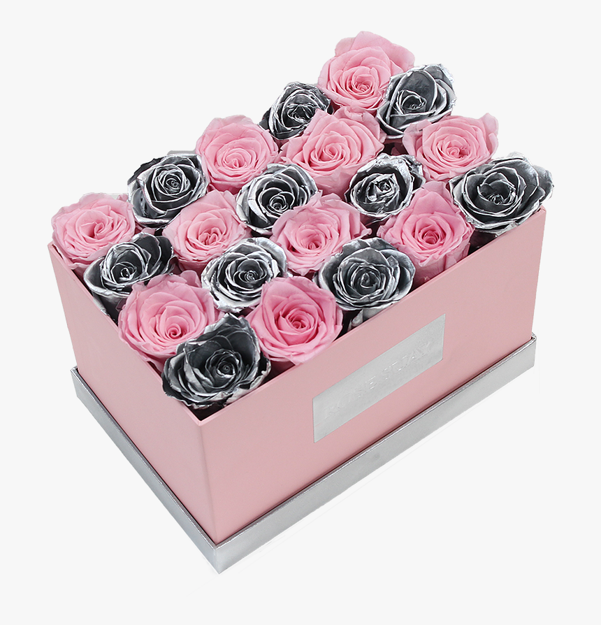 Garden Roses, HD Png Download