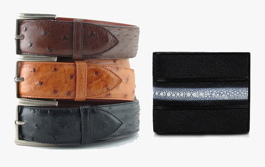 Ostrich Belt, HD Png Download