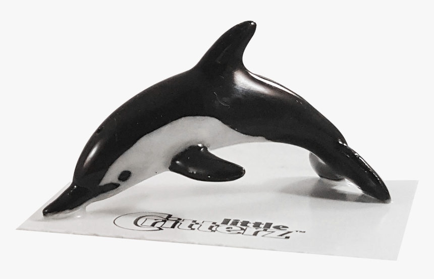 Bullet Common Dolphin Png Dolphin Bullet - Rough-toothed Dolphin, Transparent Png