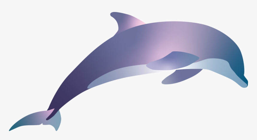 Pacific White-sided Dolphin - Spinner Dolphin, HD Png Download