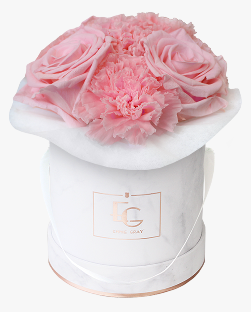 Rosa × Centifolia, HD Png Download