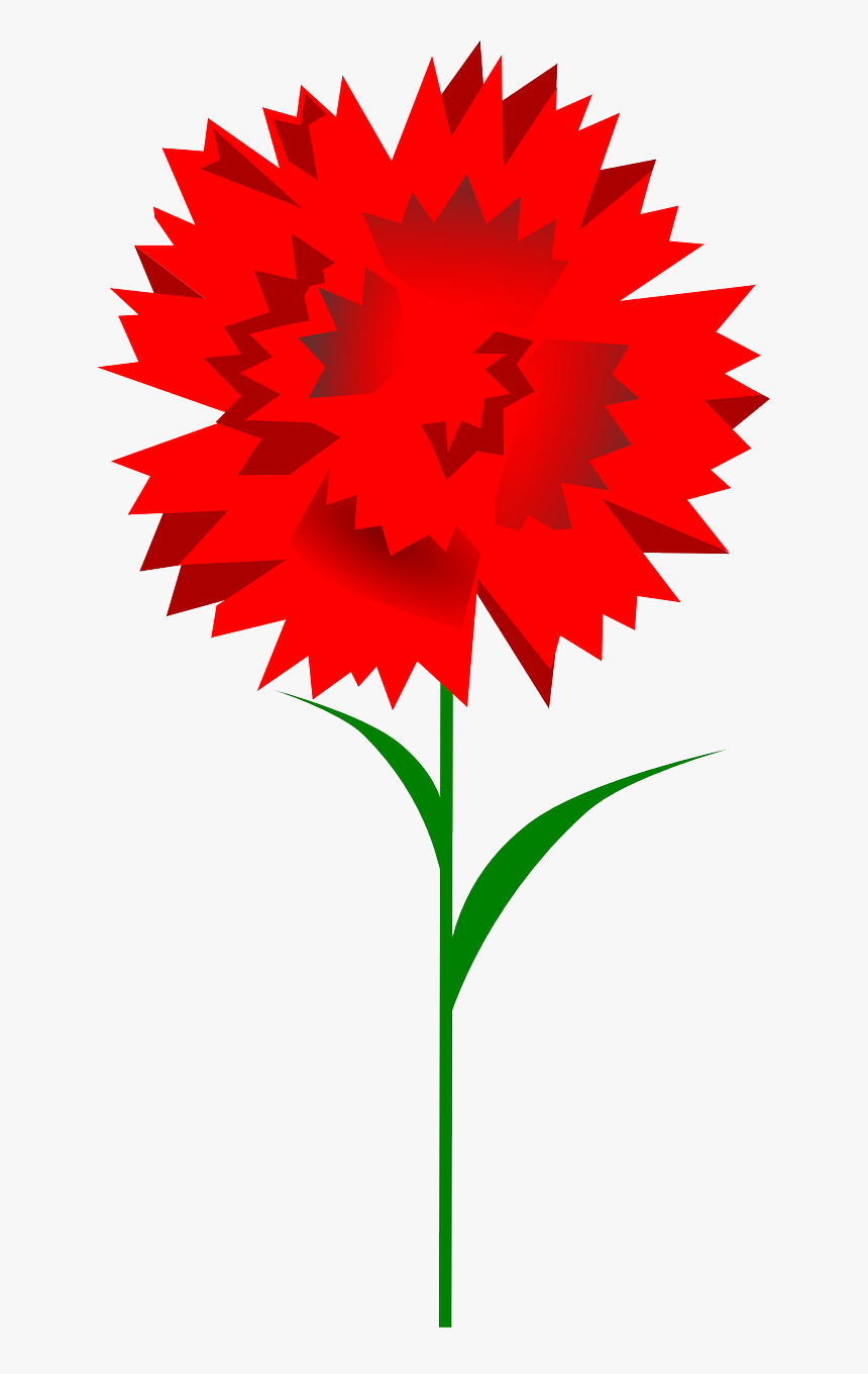 Clipart Carnation, HD Png Download