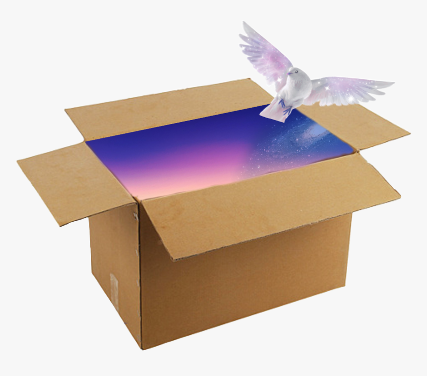 #glaxybox #galaxy #galaxybird #box #png #png Box #png - Hummingbird, Transparent Png