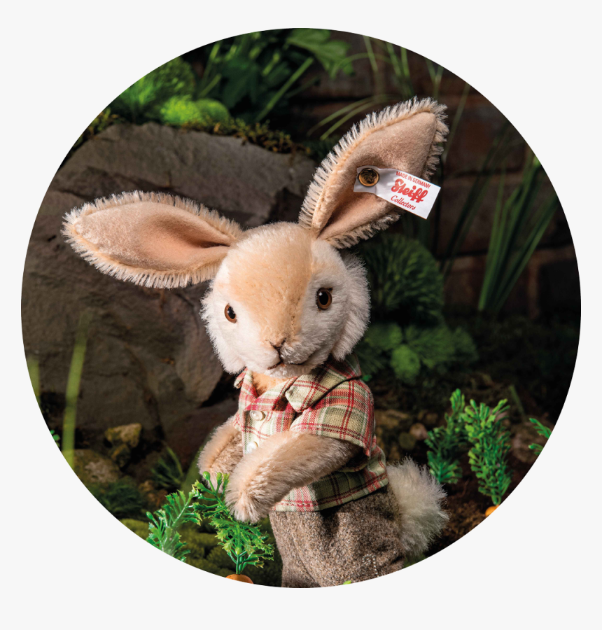 Domestic Rabbit, HD Png Download