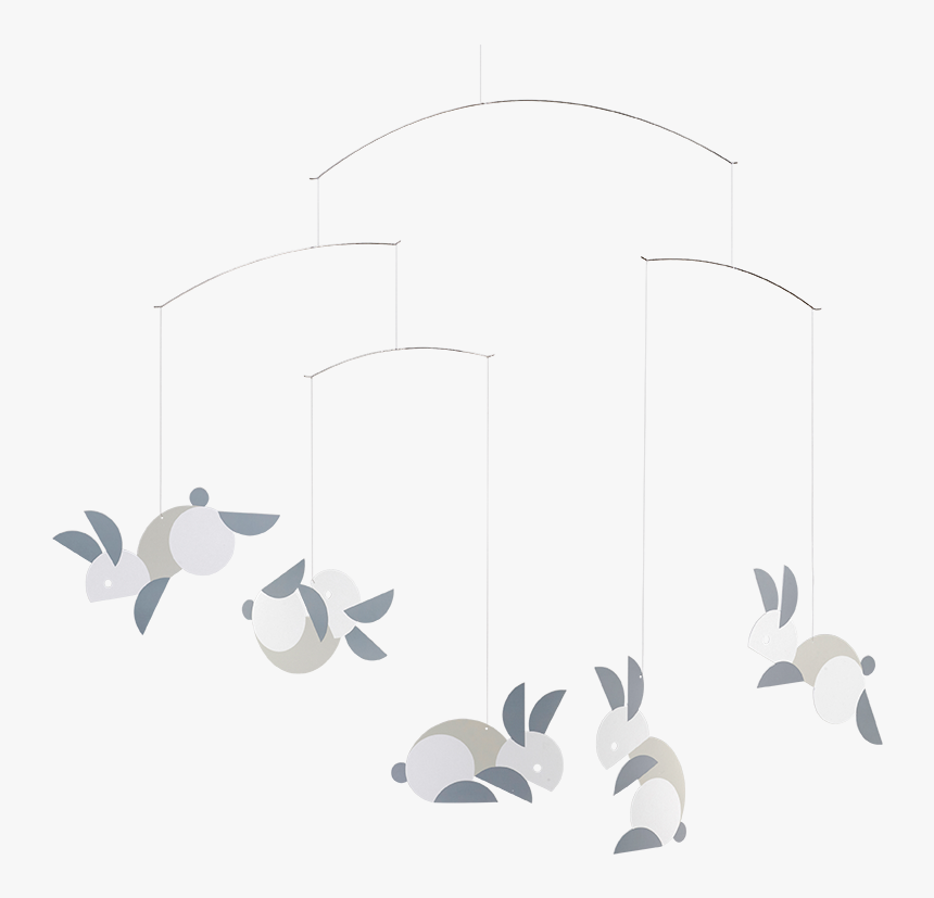 Gull, HD Png Download
