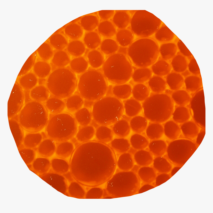 #honey #comb #honeycomb #bee #bees #honeybee #honeybees - Honeycomb, HD Png Download