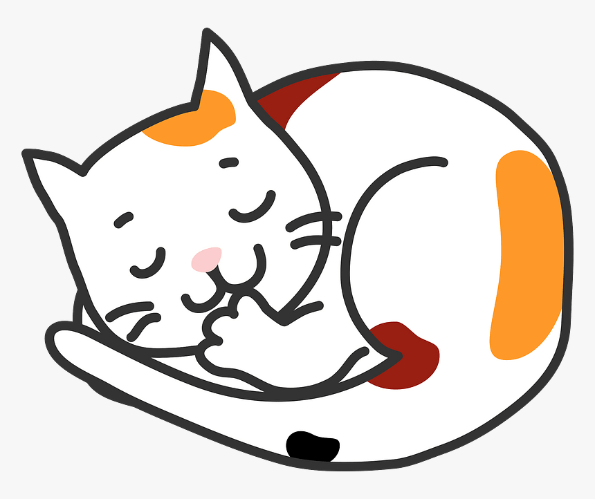 Cat, HD Png Download