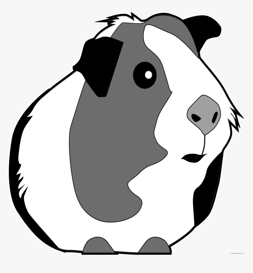 Guinea Pig Clipart - Guinea Pig Clipart Black And White, HD Png Download