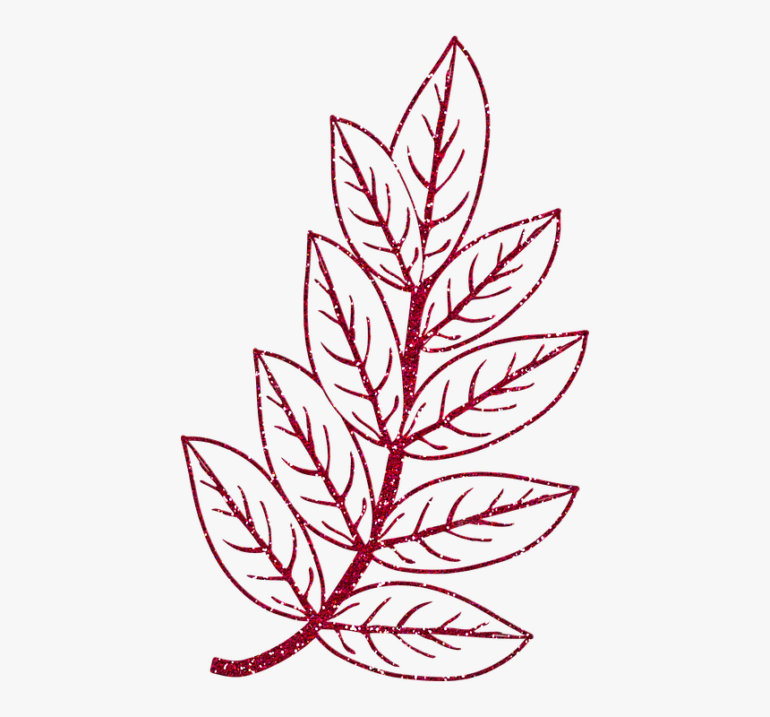 Floral Design, HD Png Download