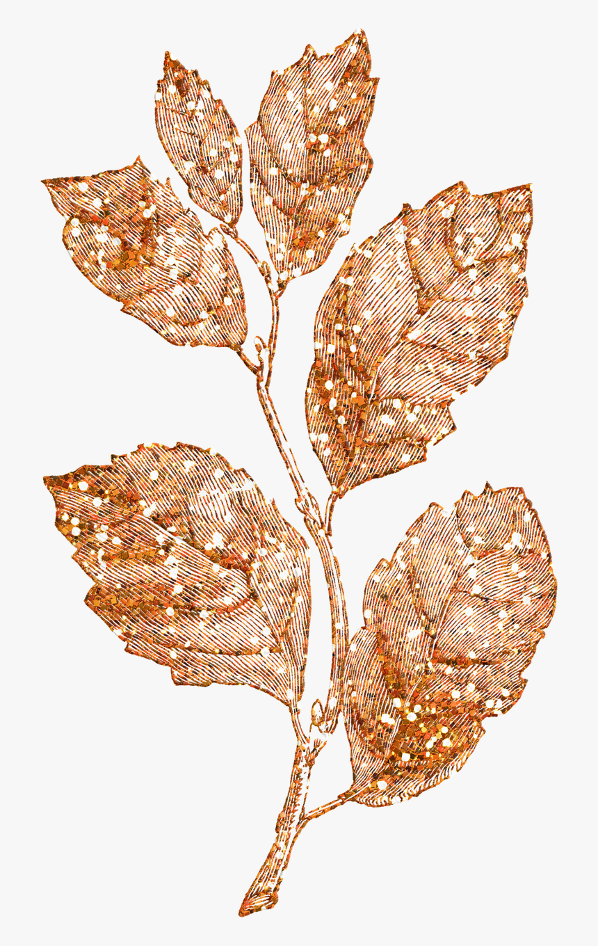 Vintage Botanical Illustration Black And White, HD Png Download