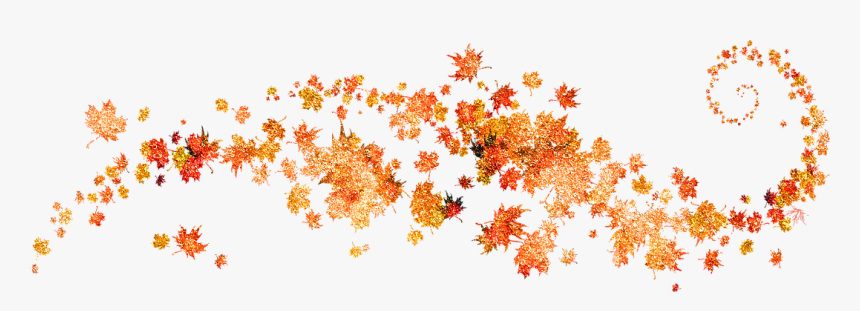 Maple Leaf, HD Png Download