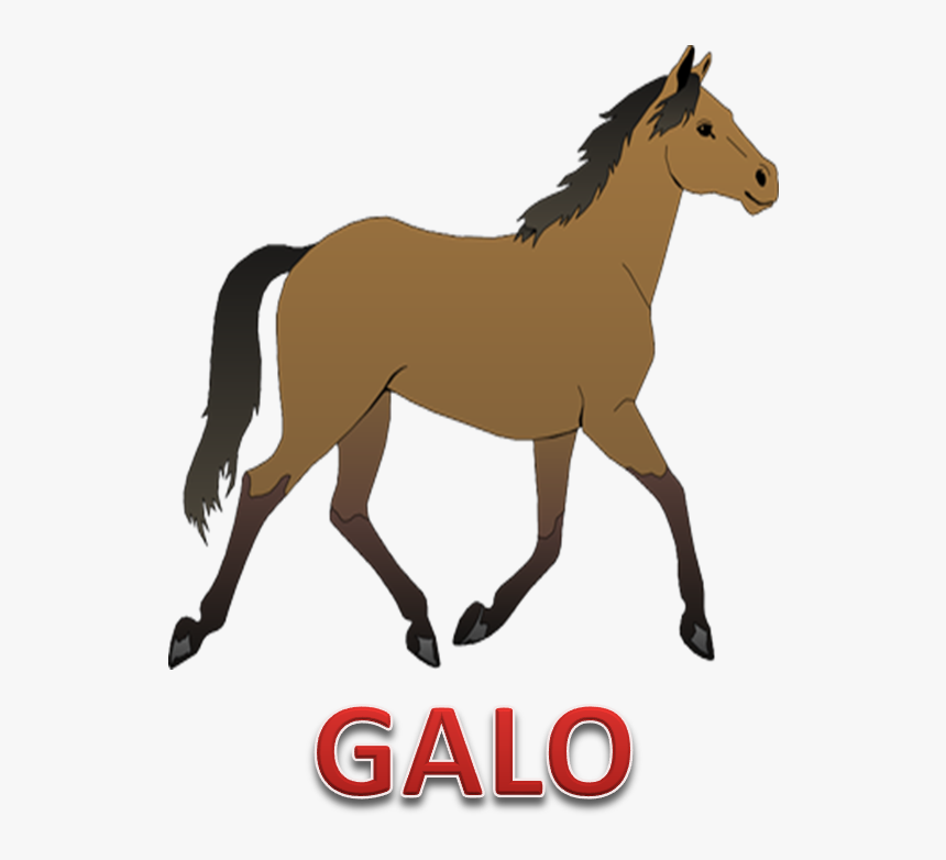 Horse Clipart Transparent Background, HD Png Download