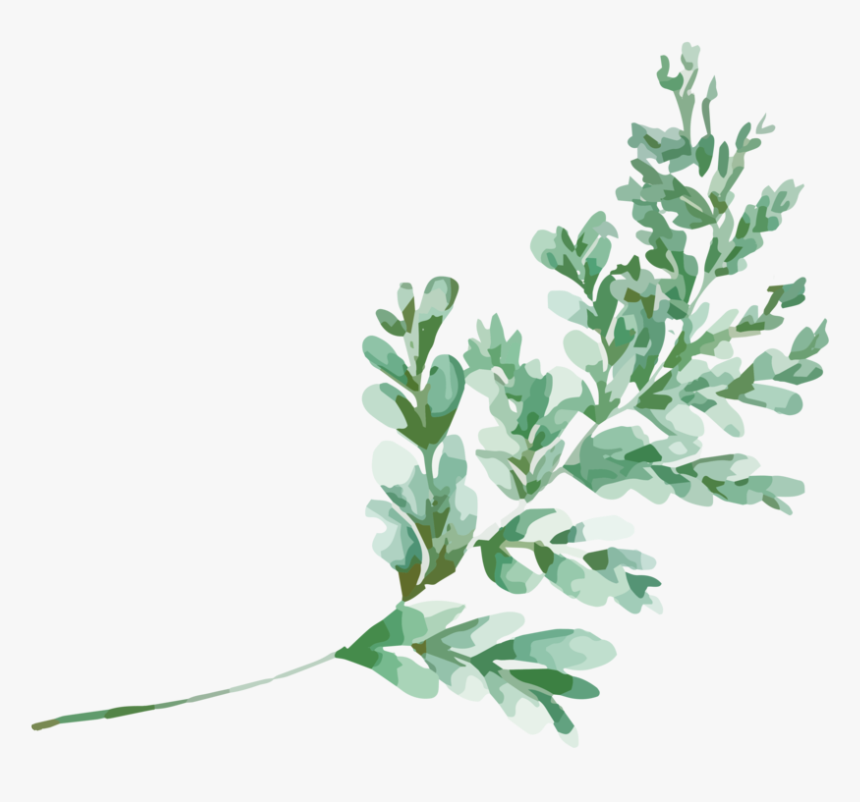 Gambel Oak, HD Png Download