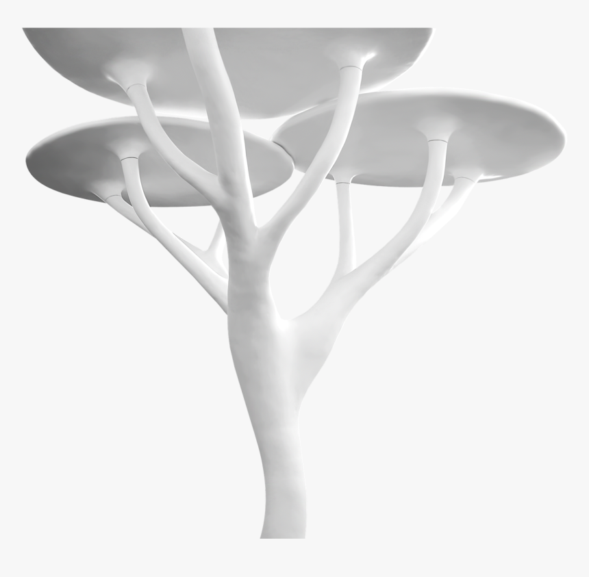 Arum, HD Png Download