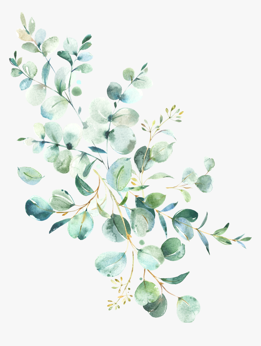 Eucalyptus Frame Watercolor, HD Png Download