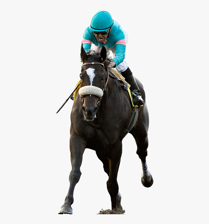 Horse Racing Jockey - Horse Racing Images Png, Transparent Png