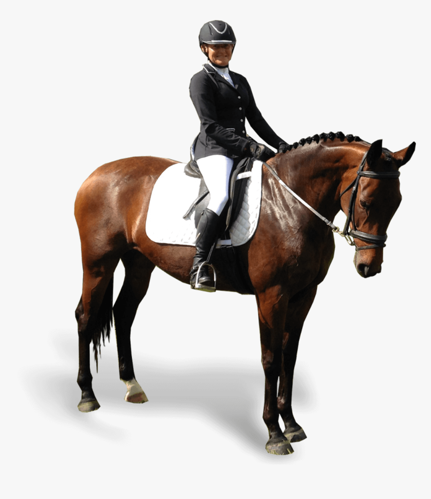 Equestrianism, HD Png Download