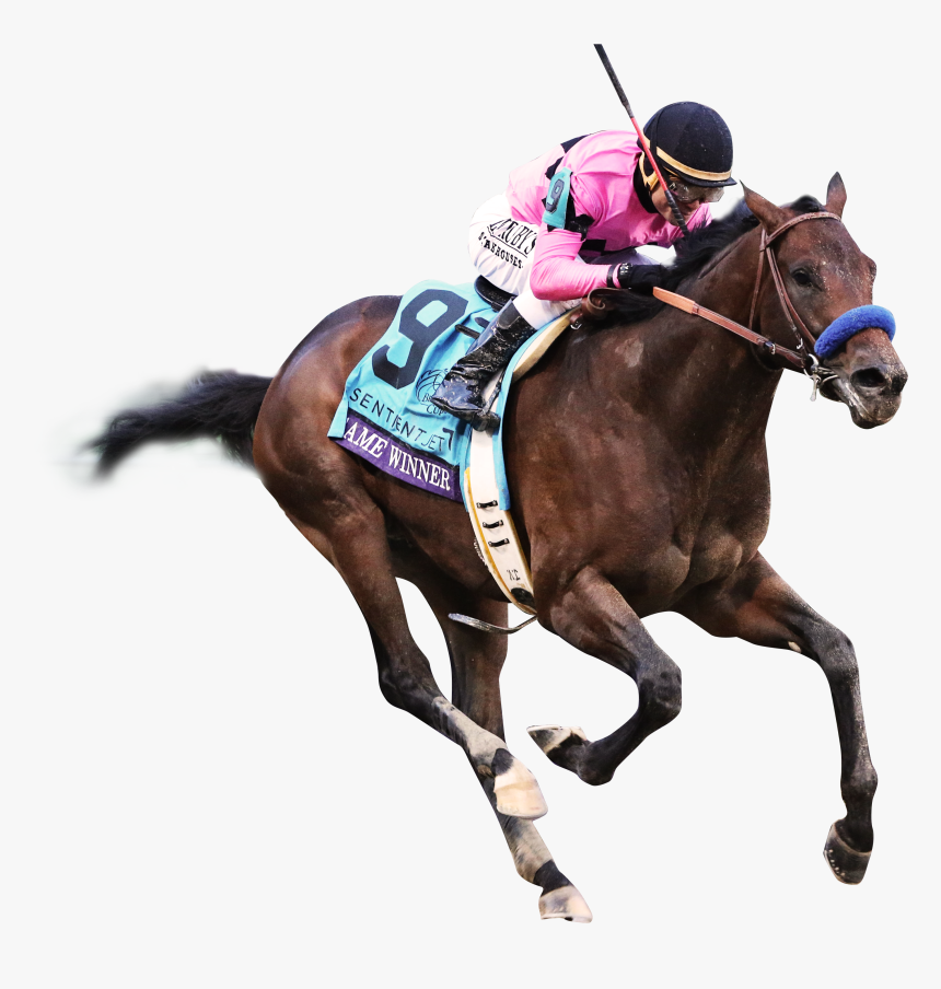 Race Image Of Game Winner - Flat Racing, HD Png Download