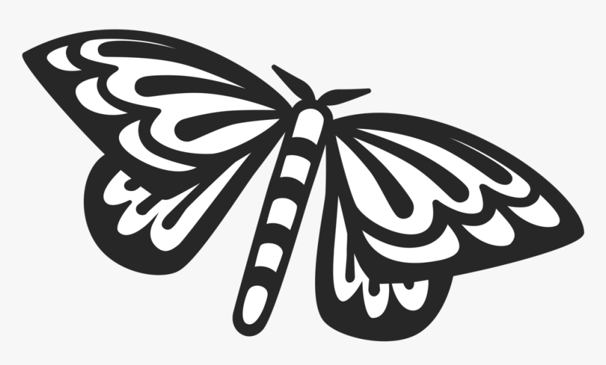 Moth White And Grey, HD Png Download