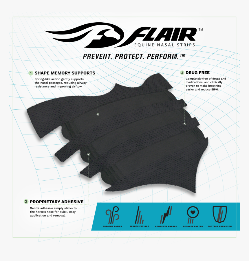 Flair® Equine Nasal Strips , Png Download - Flyer, Transparent Png
