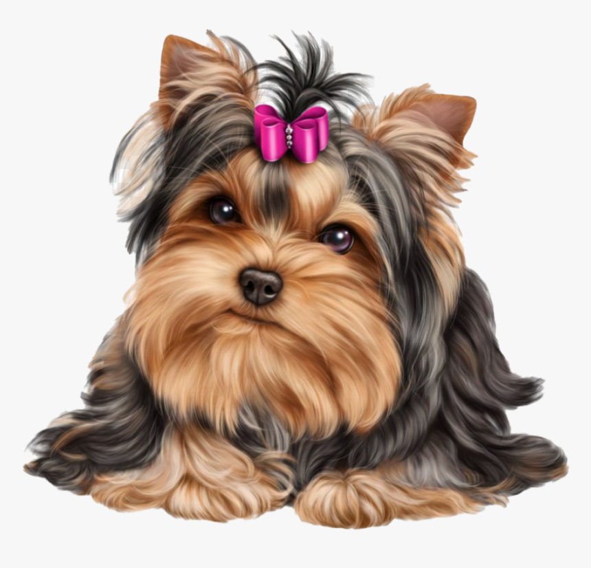Cute Yorkshire Terrier Dog - Yorkie Png, Transparent Png