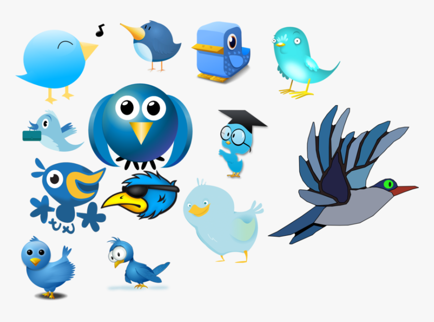 Compare And Contrast Essay Of Birds And Bats, HD Png Download