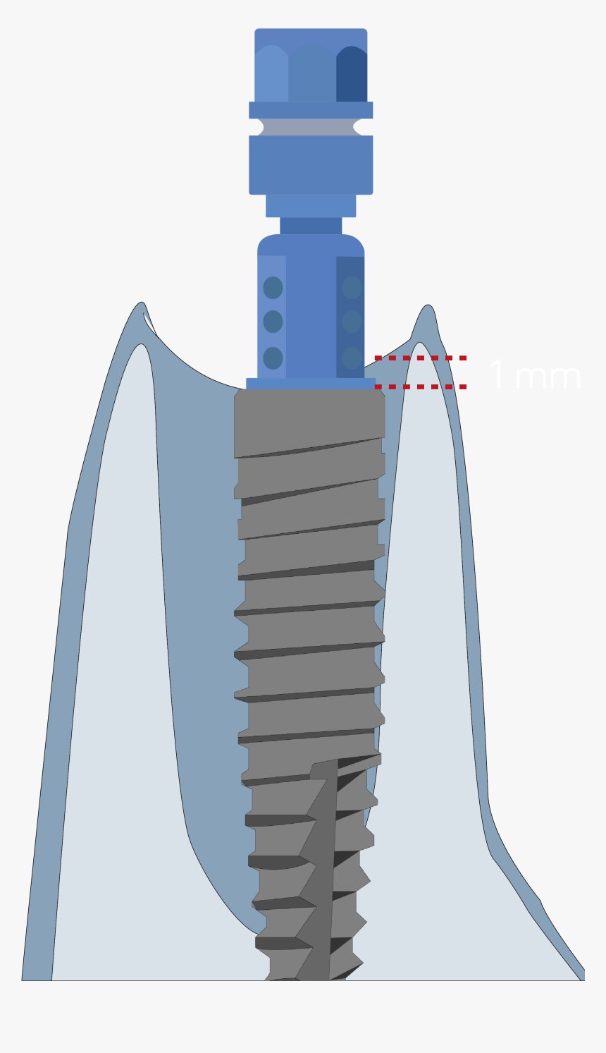 Illustration, HD Png Download