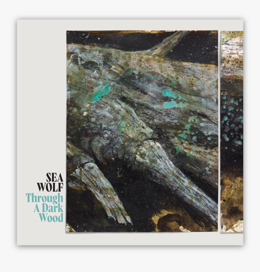 Album Cover W Drop Shadow - Sea Wolf Through A Dark Wood, HD Png Download